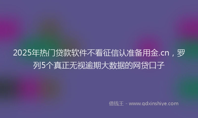 2025年热门贷款软件不看征信认准备用金.cn，罗列5个真正无视逾期大数据的网贷口子