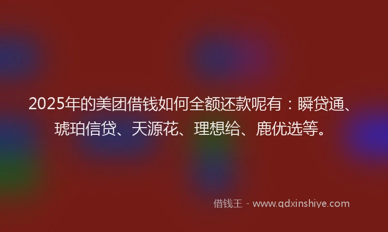 2025年的美团借钱如何全额还款呢有：瞬贷通、琥珀信贷、天源花、理想给、鹿优选等。