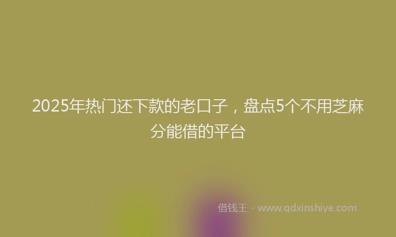 2025年热门还下款的老口子，盘点5个不用芝麻分能借的平台
