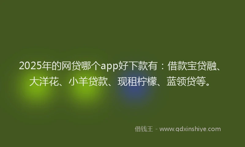 2025年的网贷哪个app好下款有：借款宝贷融、大洋花、小羊贷款、现租柠檬、蓝领贷等。