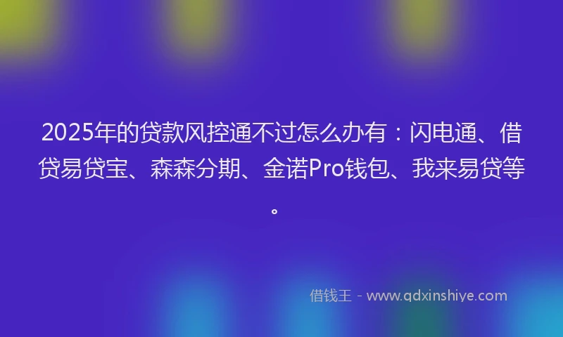 2025年的贷款风控通不过怎么办有：闪电通、借贷易贷宝、森森分期、金诺Pro钱包、我来易贷等。