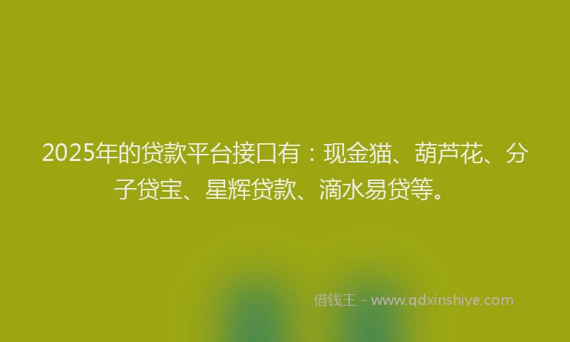 2025年的贷款平台接口有：现金猫、葫芦花、分子贷宝、星辉贷款、滴水易贷等。
