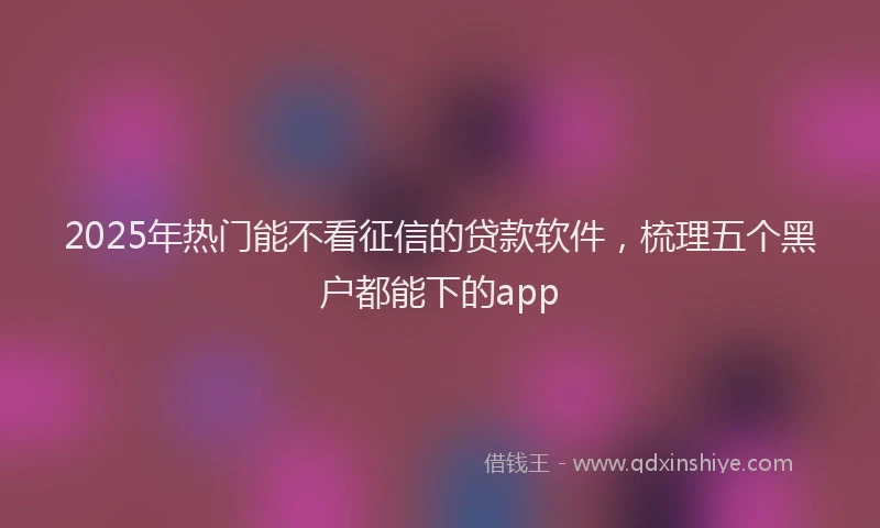 2025年热门能不看征信的贷款软件，梳理五个黑户都能下的app