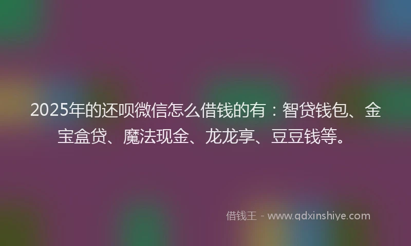 2025年的还呗微信怎么借钱的有：智贷钱包、金宝盒贷、魔法现金、龙龙享、豆豆钱等。