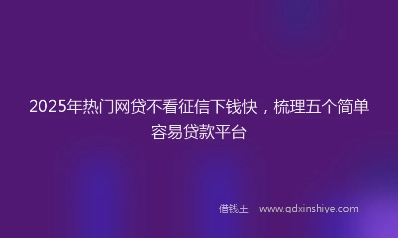 2025年热门网贷不看征信下钱快，梳理五个简单容易贷款平台
