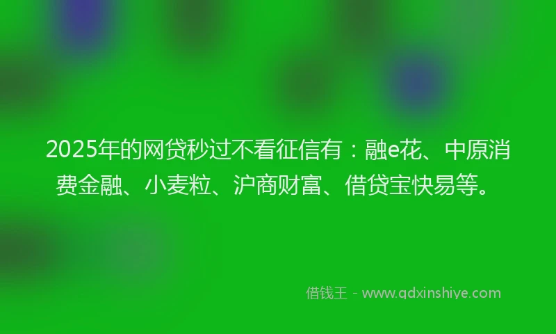 2025年的网贷秒过不看征信有：融e花、中原消费金融、小麦粒、沪商财富、借贷宝快易等。