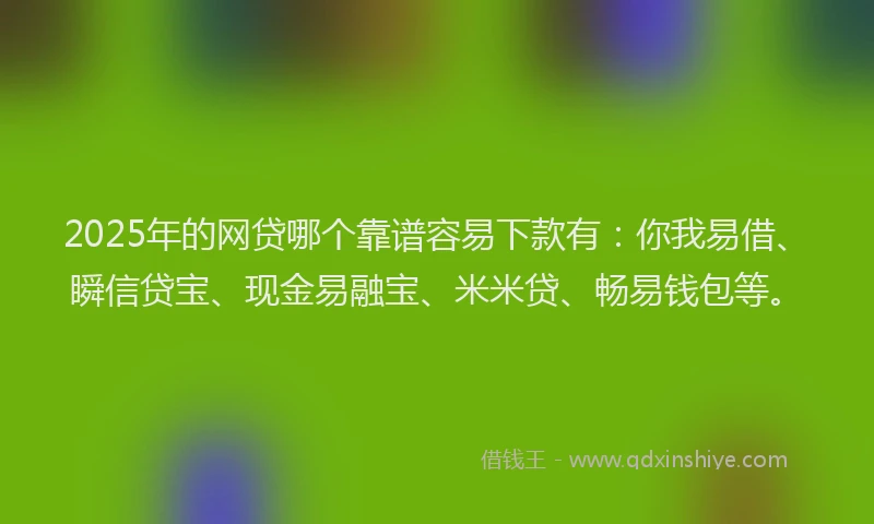 2025年的网贷哪个靠谱容易下款有：你我易借、瞬信贷宝、现金易融宝、米米贷、畅易钱包等。