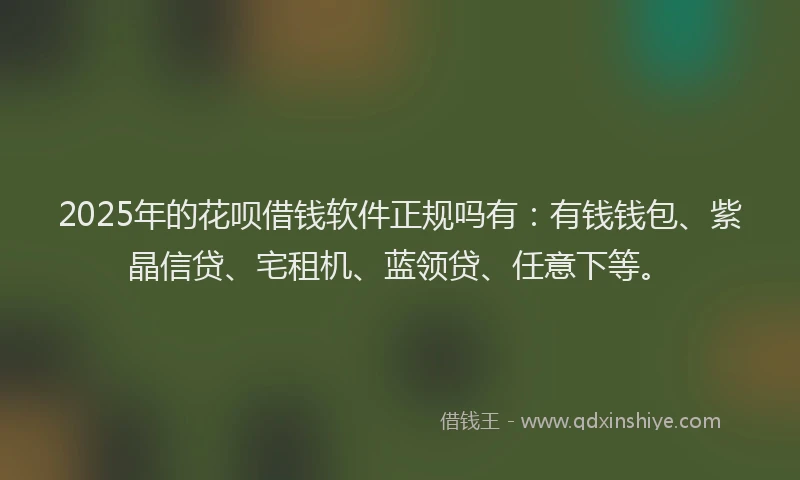 2025年的花呗借钱软件正规吗有：有钱钱包、紫晶信贷、宅租机、蓝领贷、任意下等。