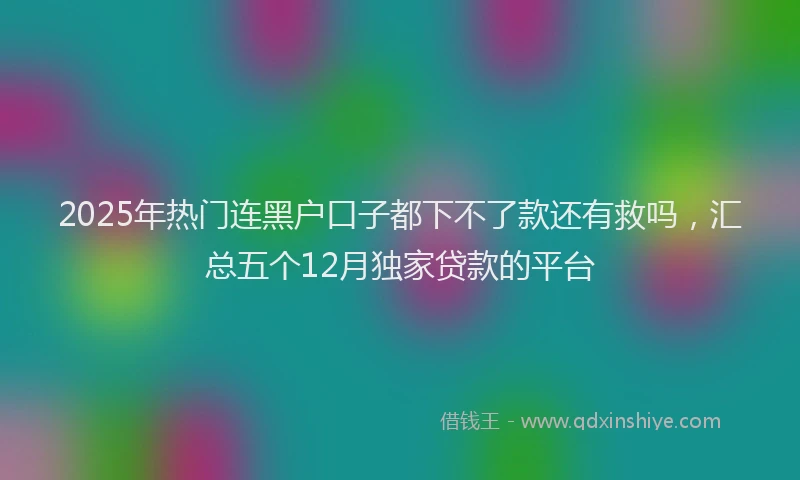 2025年热门连黑户口子都下不了款还有救吗，汇总五个12月独家贷款的平台