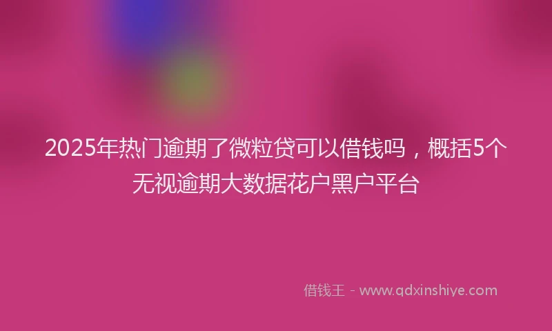 2025年热门逾期了微粒贷可以借钱吗，概括5个无视逾期大数据花户黑户平台