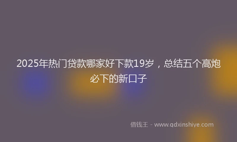 2025年热门贷款哪家好下款19岁，总结五个高炮必下的新口子