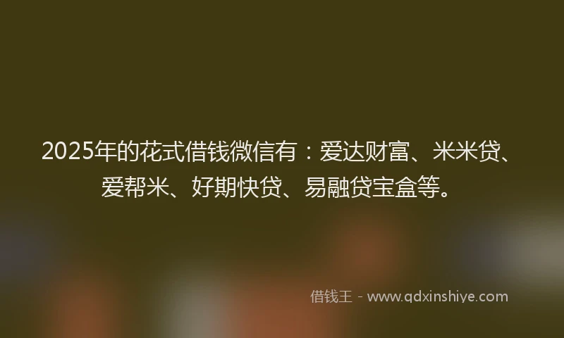 2025年的花式借钱微信有：爱达财富、米米贷、爱帮米、好期快贷、易融贷宝盒等。