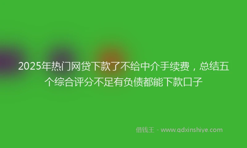 2025年热门网贷下款了不给中介手续费，总结五个综合评分不足有负债都能下款口子