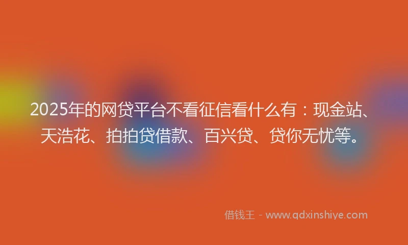 2025年的网贷平台不看征信看什么有：现金站、天浩花、拍拍贷借款、百兴贷、贷你无忧等。