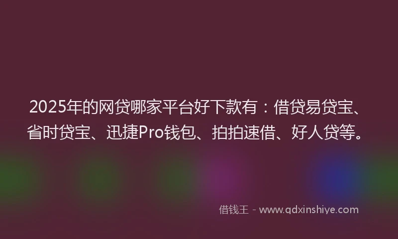 2025年的网贷哪家平台好下款有：借贷易贷宝、省时贷宝、迅捷Pro钱包、拍拍速借、好人贷等。