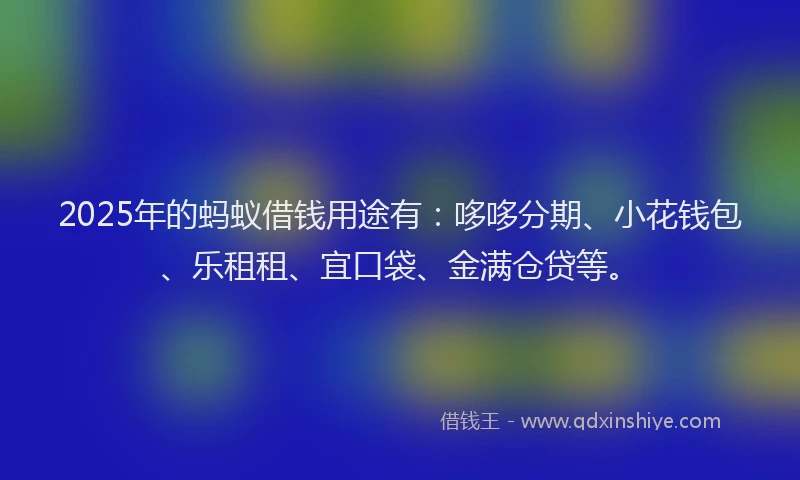 2025年的蚂蚁借钱用途有：哆哆分期、小花钱包、乐租租、宜口袋、金满仓贷等。