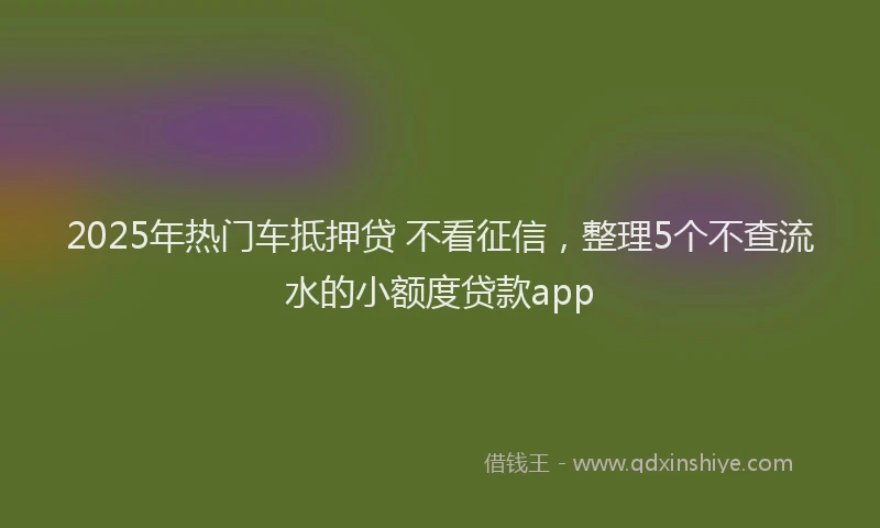 2025年热门车抵押贷 不看征信，整理5个不查流水的小额度贷款app