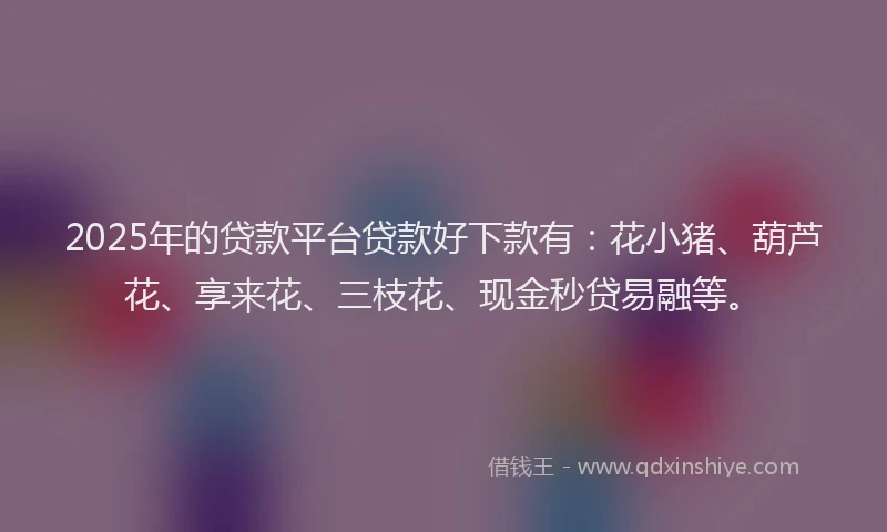 2025年的贷款平台贷款好下款有：花小猪、葫芦花、享来花、三枝花、现金秒贷易融等。