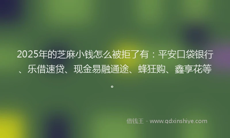 2025年的芝麻小钱怎么被拒了有：平安口袋银行、乐借速贷、现金易融通途、蜂狂购、鑫享花等。