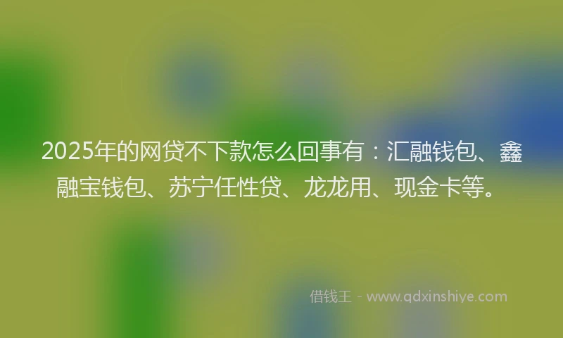 2025年的网贷不下款怎么回事有：汇融钱包、鑫融宝钱包、苏宁任性贷、龙龙用、现金卡等。
