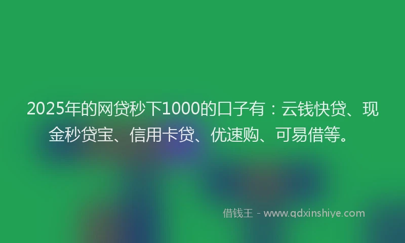 2025年的网贷秒下1000的口子有：云钱快贷、现金秒贷宝、信用卡贷、优速购、可易借等。