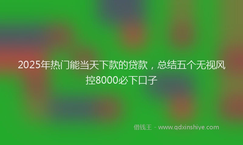 2025年热门能当天下款的贷款，总结五个无视风控8000必下口子