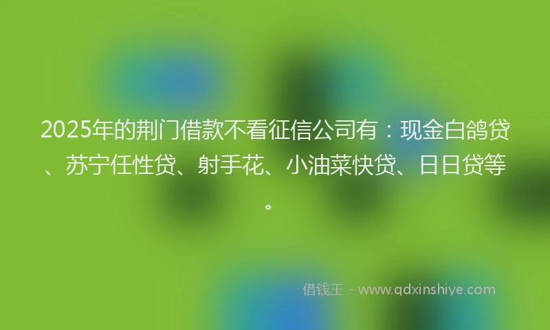 2025年的荆门借款不看征信公司有：现金白鸽贷、苏宁任性贷、射手花、小油菜快贷、日日贷等。