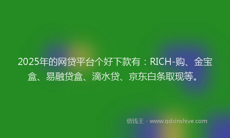 2025年的网贷平台个好下款有：RICH-购、金宝盒、易融贷盒、滴水贷、京东白条取现等。