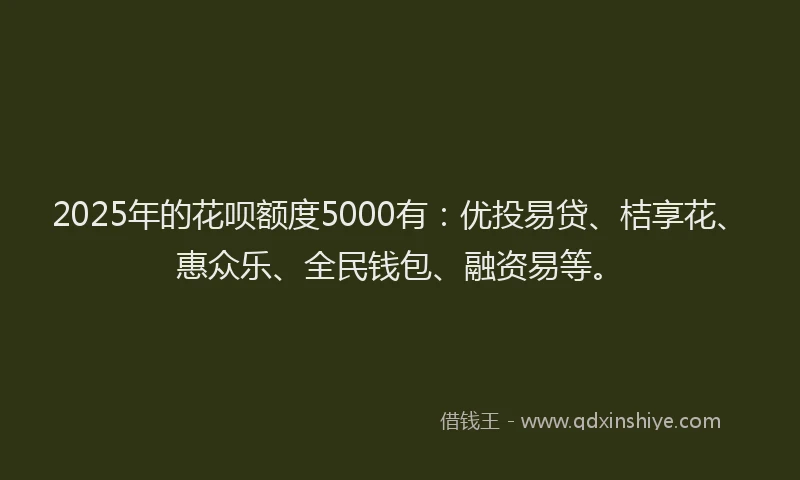 2025年的花呗额度5000有：优投易贷、桔享花、惠众乐、全民钱包、融资易等。