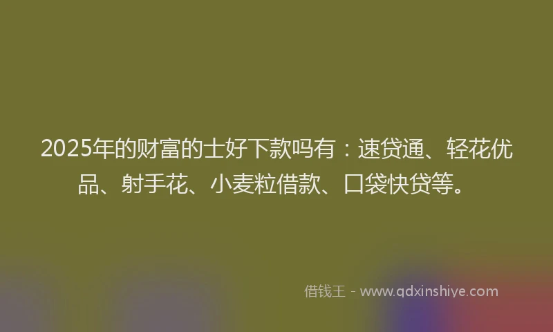 2025年的财富的士好下款吗有：速贷通、轻花优品、射手花、小麦粒借款、口袋快贷等。
