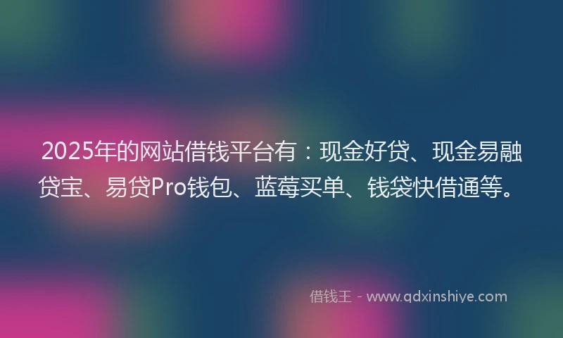2025年的网站借钱平台有：现金好贷、现金易融贷宝、易贷Pro钱包、蓝莓买单、钱袋快借通等。