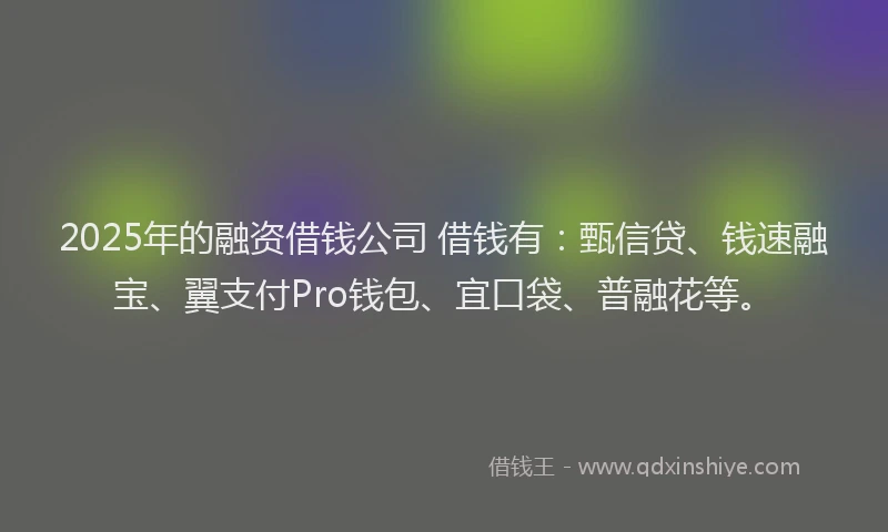2025年的融资借钱公司 借钱有：甄信贷、钱速融宝、翼支付Pro钱包、宜口袋、普融花等。