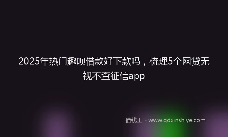2025年热门趣呗借款好下款吗，梳理5个网贷无视不查征信app