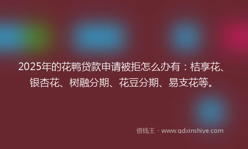 2025年的花鸭贷款申请被拒怎么办有：桔享花、银杏花、树融分期、花豆分期、易支花等。