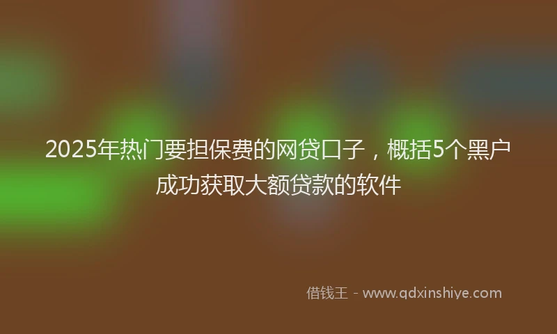 2025年热门要担保费的网贷口子，概括5个黑户成功获取大额贷款的软件