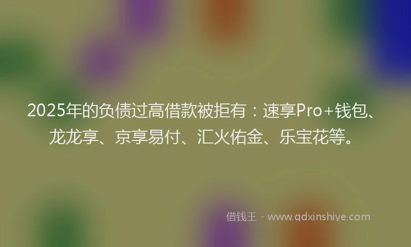2025年的负债过高借款被拒有：速享Pro+钱包、龙龙享、京享易付、汇火佑金、乐宝花等。