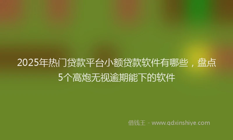 2025年热门贷款平台小额贷款软件有哪些，盘点5个高炮无视逾期能下的软件