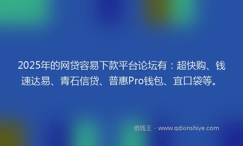 2025年的网贷容易下款平台论坛有：超快购、钱速达易、青石信贷、普惠Pro钱包、宜口袋等。