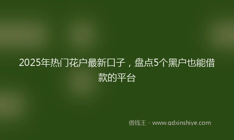 2025年热门花户最新口子，盘点5个黑户也能借款的平台