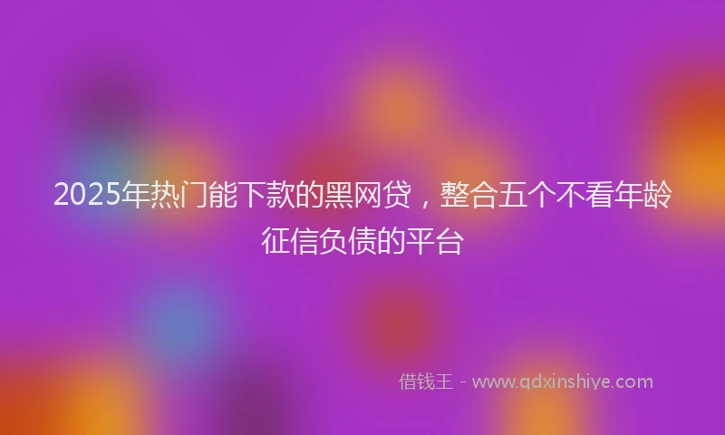 2025年热门能下款的黑网贷，整合五个不看年龄征信负债的平台