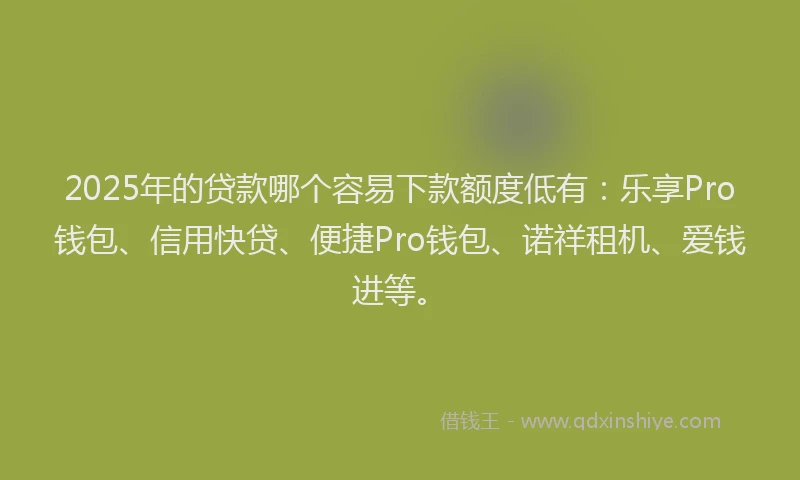 2025年的贷款哪个容易下款额度低有：乐享Pro钱包、信用快贷、便捷Pro钱包、诺祥租机、爱钱进等。
