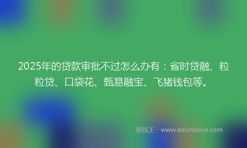 2025年的贷款审批不过怎么办有：省时贷融、粒粒贷、口袋花、甄易融宝、飞猪钱包等。