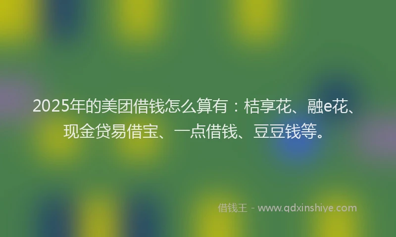 2025年的美团借钱怎么算有：桔享花、融e花、现金贷易借宝、一点借钱、豆豆钱等。