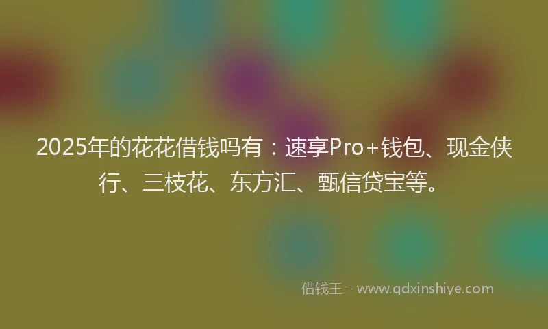 2025年的花花借钱吗有：速享Pro+钱包、现金侠行、三枝花、东方汇、甄信贷宝等。
