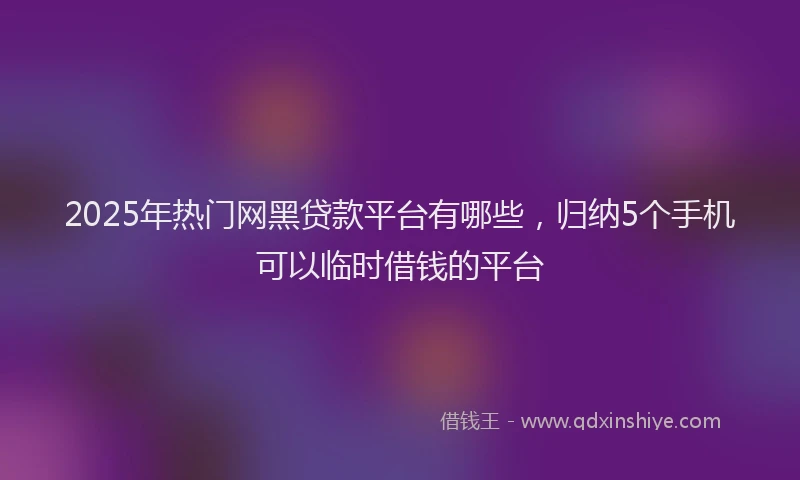 2025年热门网黑贷款平台有哪些，归纳5个手机可以临时借钱的平台