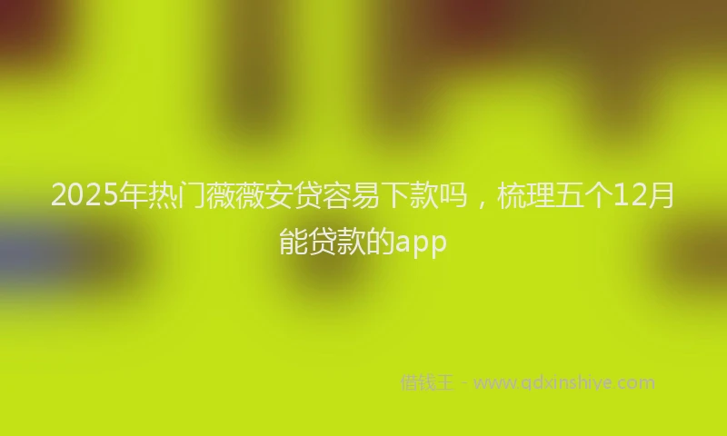 2025年热门薇薇安贷容易下款吗，梳理五个12月能贷款的app