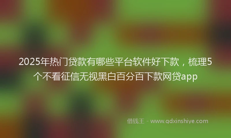 2025年热门贷款有哪些平台软件好下款，梳理5个不看征信无视黑白百分百下款网贷app