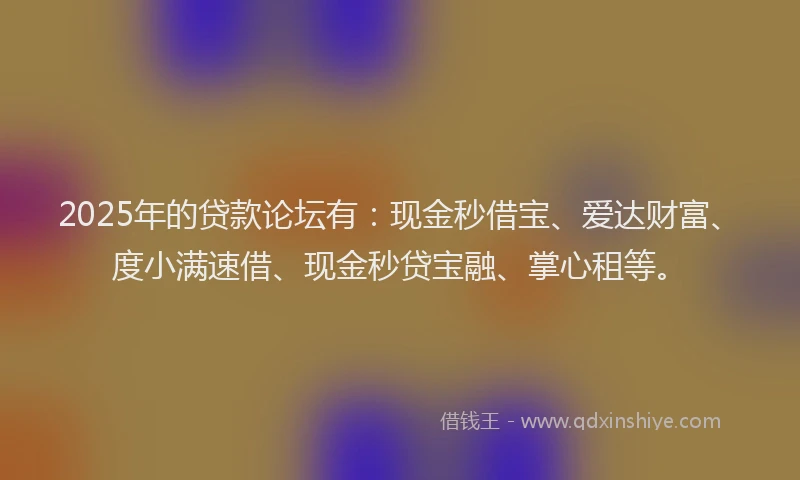 2025年的贷款论坛有：现金秒借宝、爱达财富、度小满速借、现金秒贷宝融、掌心租等。