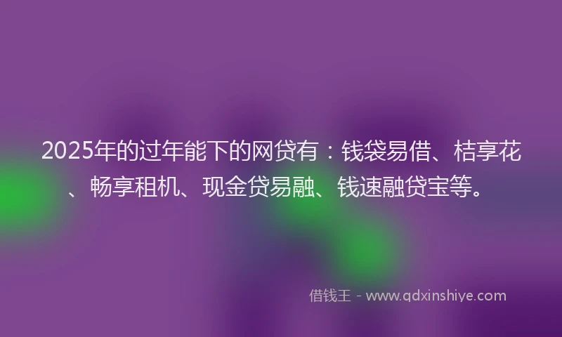 2025年的过年能下的网贷有：钱袋易借、桔享花、畅享租机、现金贷易融、钱速融贷宝等。