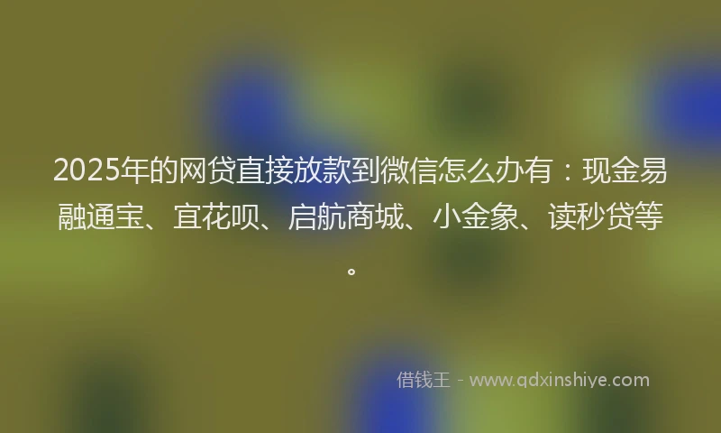 2025年的网贷直接放款到微信怎么办有：现金易融通宝、宜花呗、启航商城、小金象、读秒贷等。